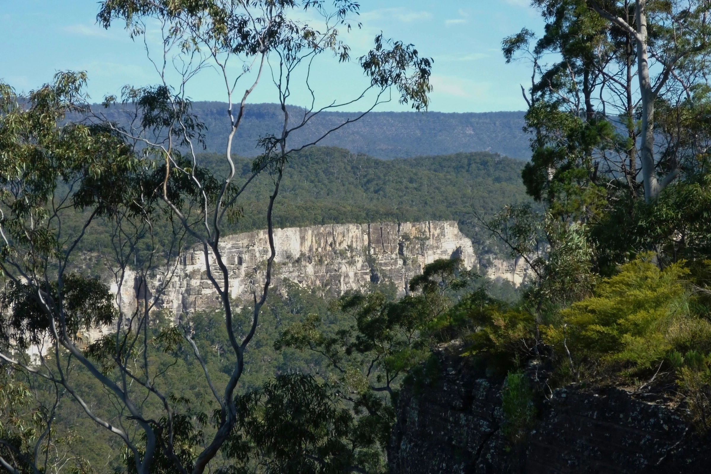 Carnarvon_National_Park,_Queensland[1].webp